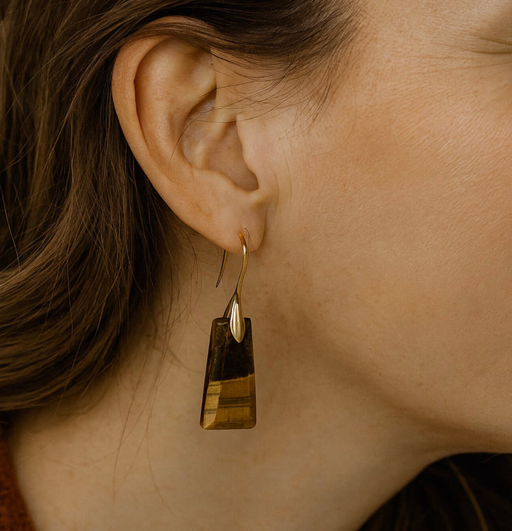 Tiger Eye Trapezohydrische Ohrringe